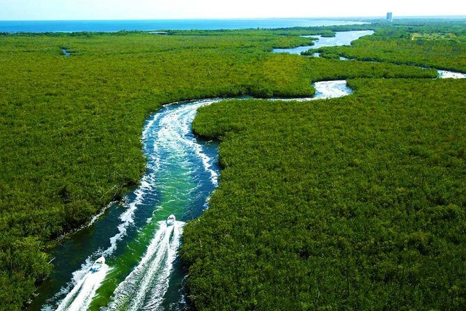Speed Boat Tour for 2 - A Journey across Lagoon and Mangroves - The Sum Up