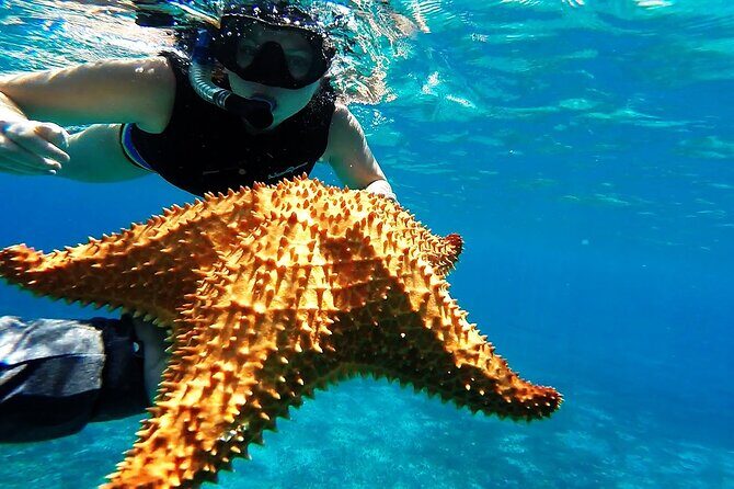 Speed Boat with Snorkeling Adventure of Cancun - Key Points