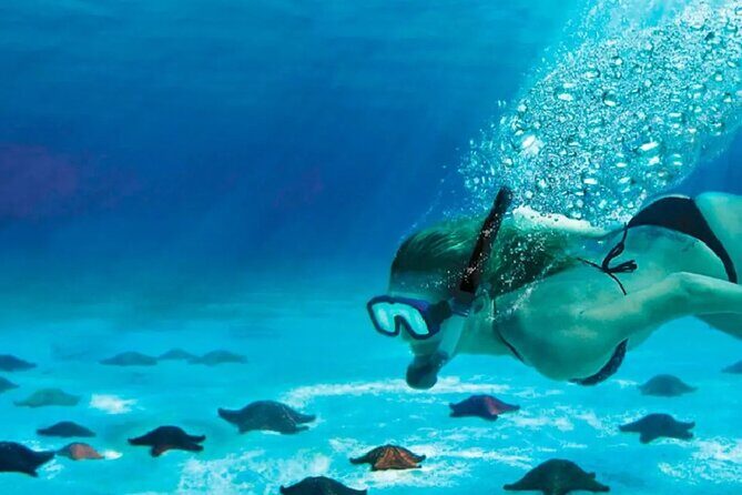 Speed Boat with Snorkeling Adventure of Cancun - The Experience Provider: Best Cancun Experience