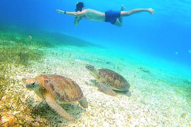 Speed Boat with Snorkeling Adventure of Cancun - Frequently Asked Questions