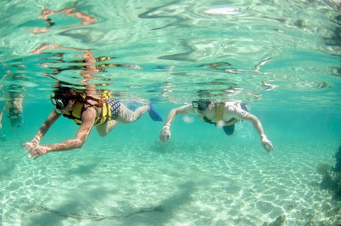 Speed Through Cancun: Explore Mangroves, Reefs & MUSA in One Tour - The Details of the Speed Through Cancun Tour