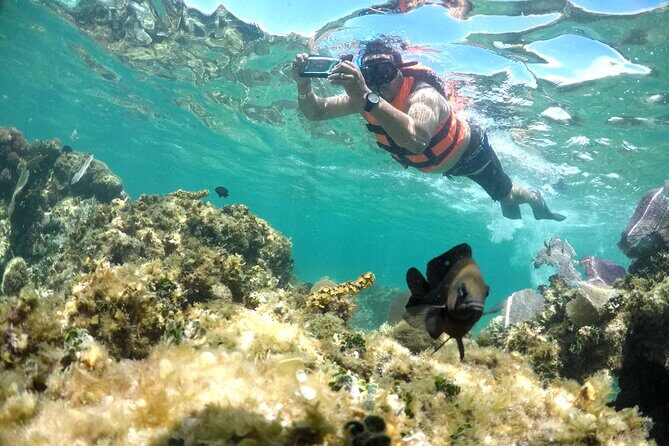 Speedboat and snorkel adventure - Frequently Asked Questions