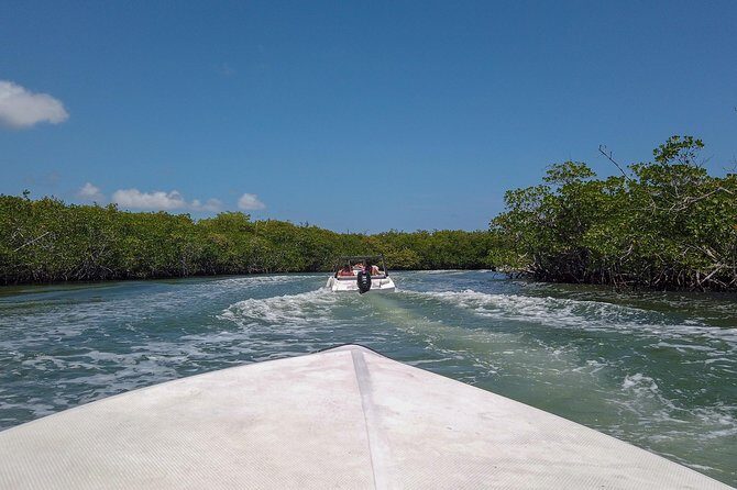 Speedboat and snorkel tour: Single Passenger Boat - Who Will Love This Tour?