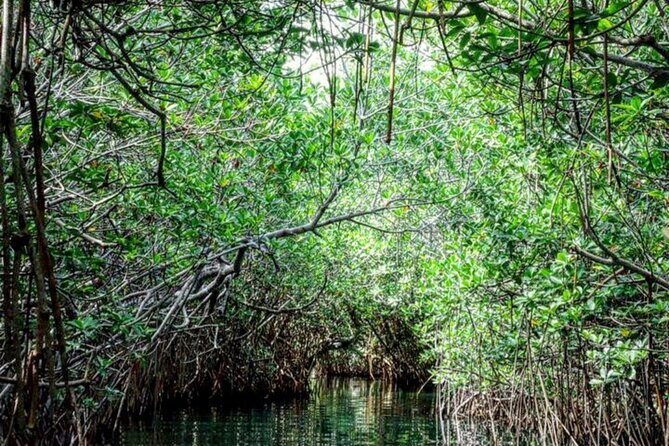 Speedboat and Snorkeling Adventure in Cancun - An Overview of the Tour Experience