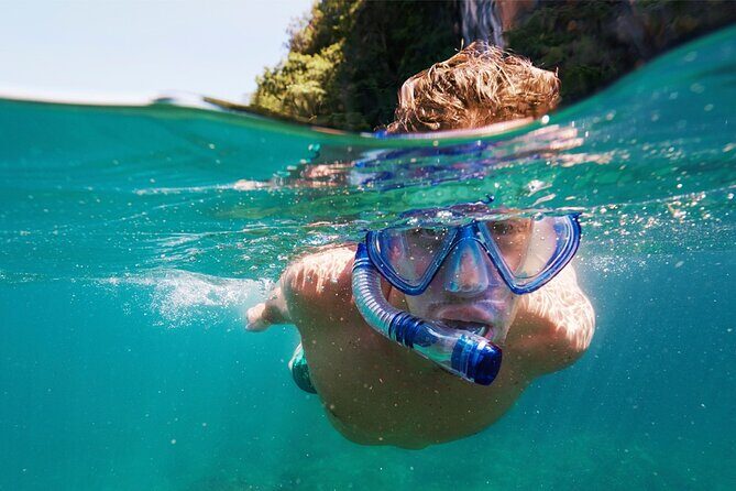 Speedboat Excursion: Thrilling Drive & Snorkel in Cancun Lagoon! - Analyzing the Price and Value