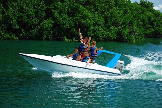 Speedboat jungle tour and snorkel - Key Points
