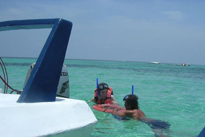 Speedboat tour in Cancun with snorkel and sightseeing in manglars - Exploring the Speedboat Tour in Cancun with Snorkel and Mangrove Sightseeing