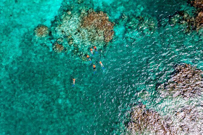 Speedboat Tour, Snorkel & Drinks - Real Traveler Insights