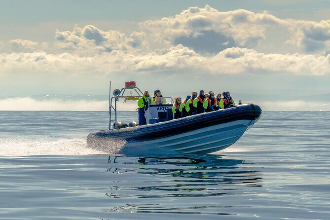 Speedboat Whale Watching Small-Group Tour in Reykjavik - The Experience: What to Expect on the Speedboat Tour