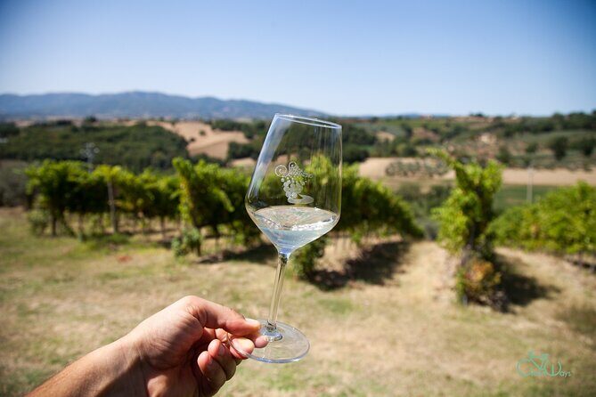 Spello E-Bike Tour with Lunch and Wine Tasting! - Who Is This Tour Perfect For?