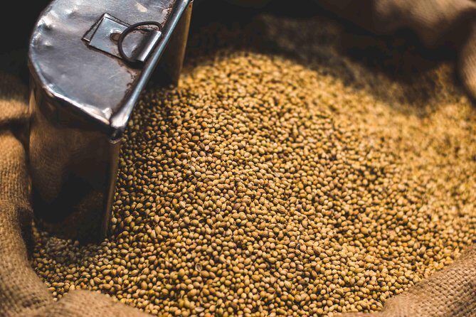 Spice Market & Old Delhi Highlights: Guided 3-Hour Tour - A Deep Dive into the Old Delhi Experience