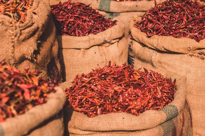 Spice Market & Old Delhi Highlights: Guided 3-Hour Tour - Who Would Enjoy This Tour?