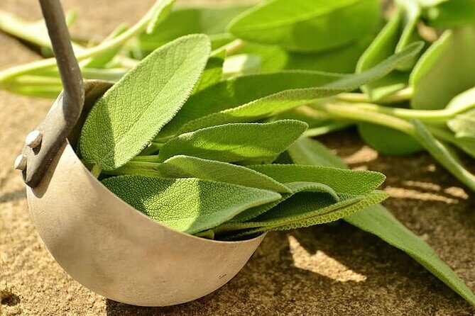 Spice Tour And Home-Cooked Goan Lunch At An Organic Plantation - Who Will Love This Experience?