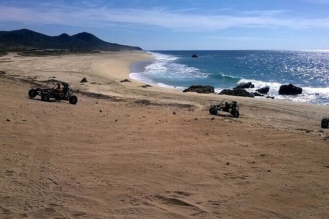 Spider Dune Buggy Adventure in Los Cabos - Who Should Consider This Tour?