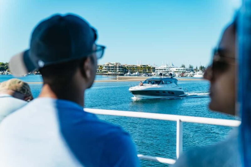 Spirit of Gold Coast 2.5-Hour Whale Watching Tour - What the Reviews Tell Us