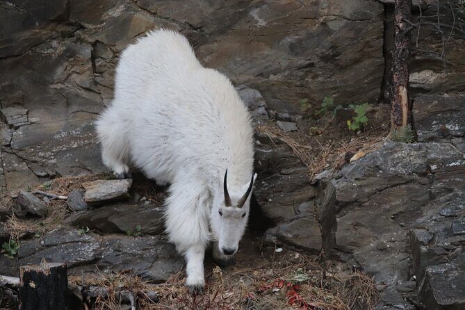 Spirit of the West: Devils Tower, Spearfish Canyon & Deadwood - A Closer Look at the Itinerary