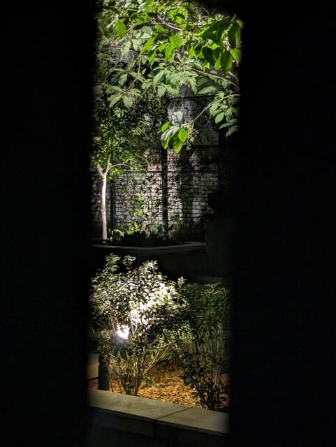 Spirit Xperience: Paranormal Walking Ghost Tour in Savannah - Introduction