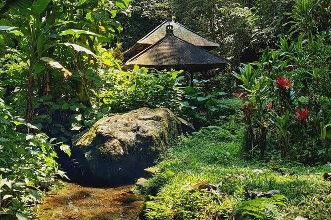 Spiritual Bali for Late Risers - Purification & Waterfall - Who Should Book This Tour?