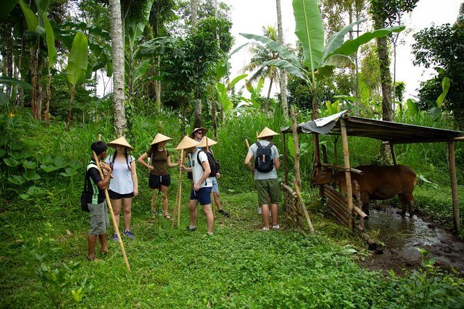 Spiritual Journey with private purification ceremony, local priest - Ubud - Who Will Love This Tour?