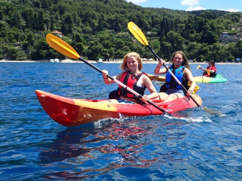 Split 4-Hour Guided Sea Kayak Tour - Key Points