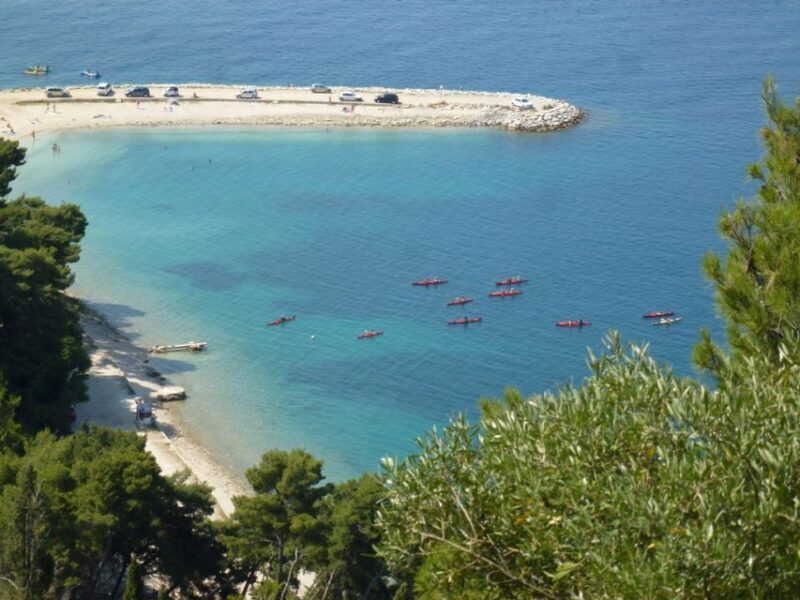 Split 4-Hour Guided Sea Kayak Tour - Frequently Asked Questions