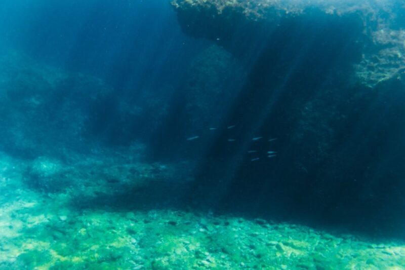 Split: 45-minute Semi-Submersible Submarine Trip - The Sum Up