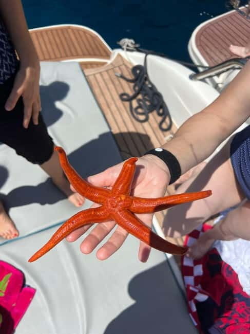 Split: 5 Islands Full-Day Tour to Blue Cave, Vis & Hvar - Key Points