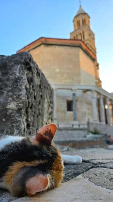 Split and Diocletian's Palace walking tour with a local guid - Why This Tour Is a Great Value