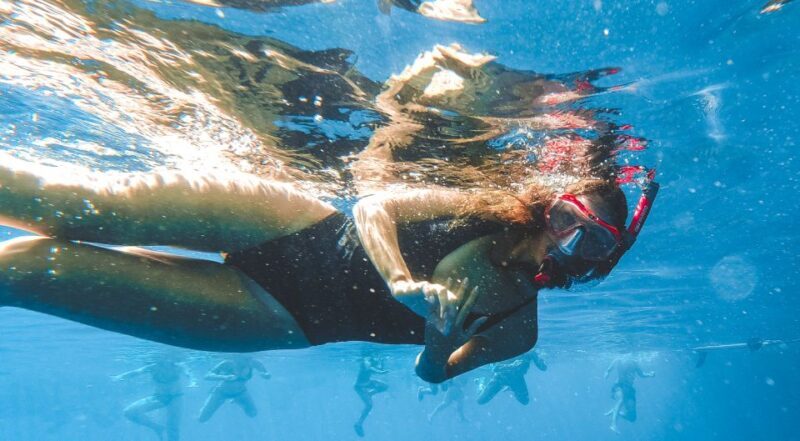 Split: Blue Cave and 5 Islands Tour - Authentic Voices: What Tour Participants Say