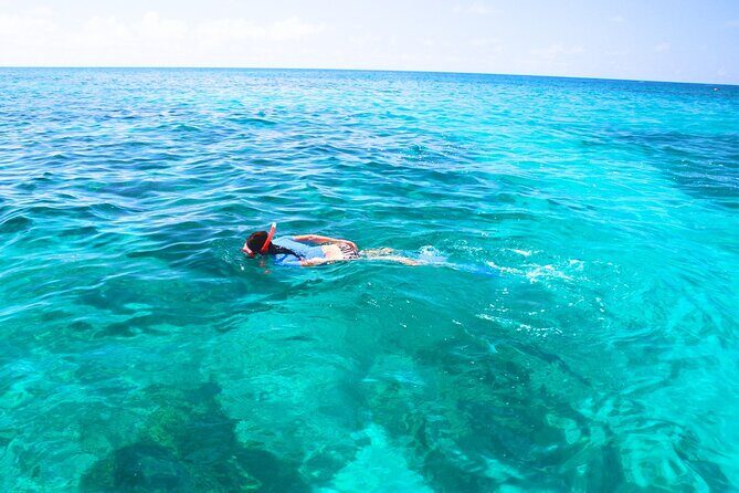 Split: Blue Lagoon & 3 Islands Speedboat Tour - Small group - The Experience – What Travelers Say