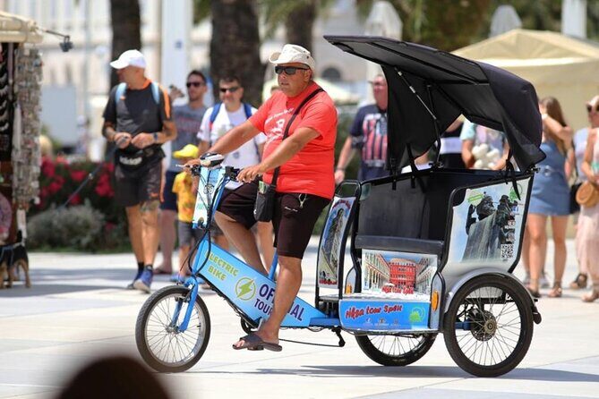 Split by Private Electric Rickshaw - Palace & Hidden Gems - Who Is This Tour Best For?