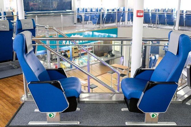 Split Cruise To Bimini & Free Transportation! - An In-Depth Look at the Experience