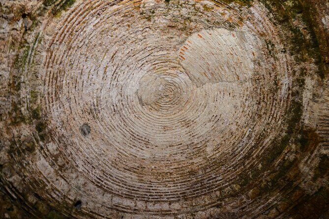 Split Diocletian's Palace & cellars Private Tour - Entrance incl. - A Closer Look at the Tour Experience