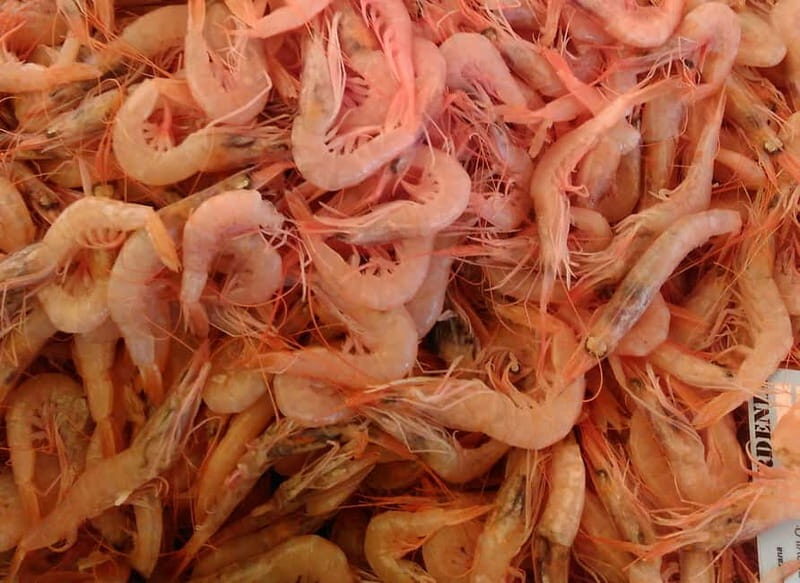 Split: Food Tasting Walking Tour - FAQ