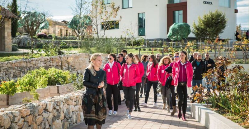 Split: Green Line with Open Bus to Klis & Olive Museum - What’s Included and What to Budget For