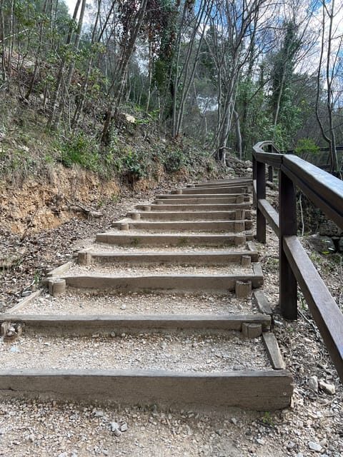 Split: Krka Tours with tour guide, boat ride and swim stop - An In-Depth Look at the Krka Tour Experience