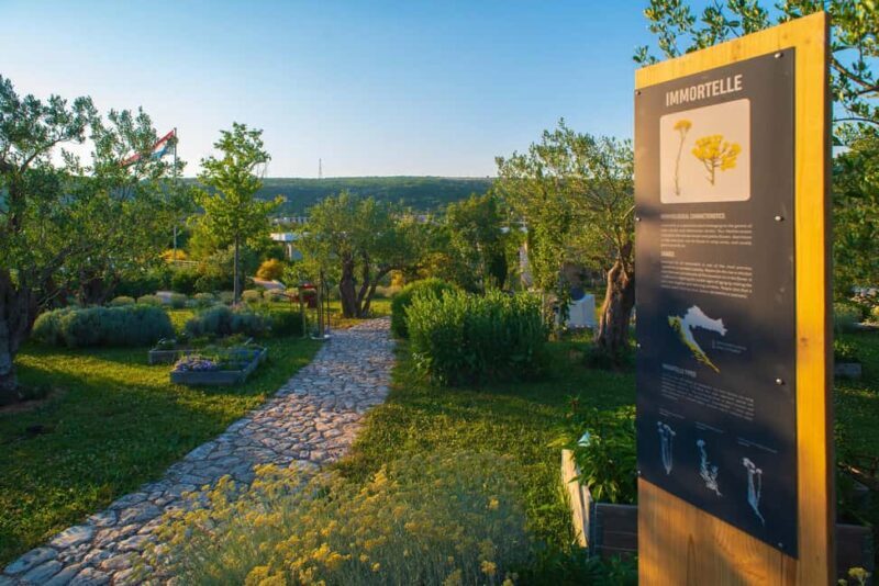 Split: Olive museum Klis with Olive Oil Tasting - Introduction