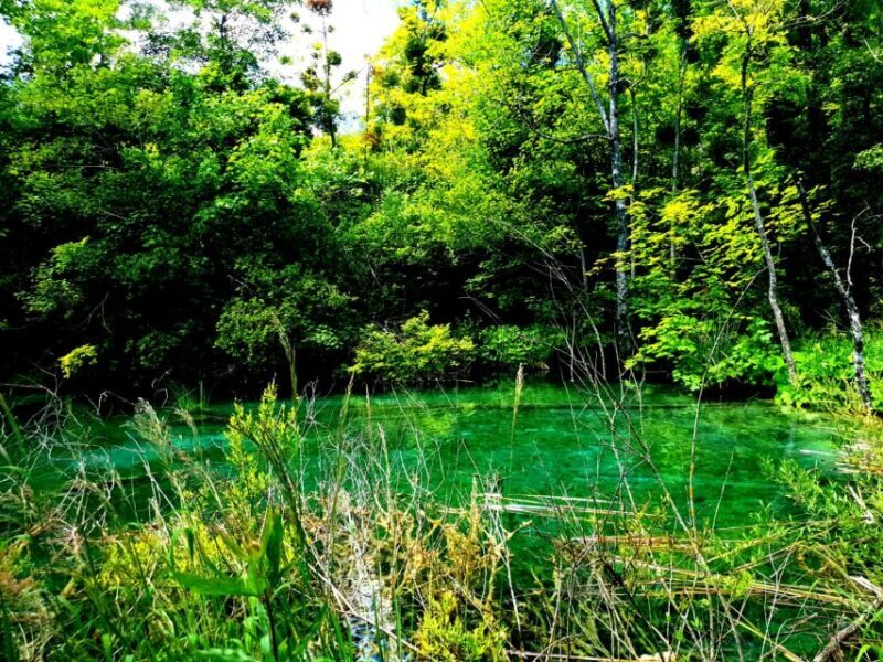 Split: Plitvice Lakes Guided Day Tour with Entry Tickets - FAQs