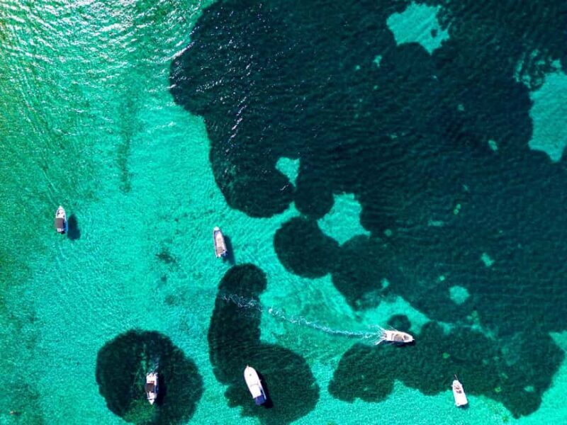 Split: Private Blue Lagoon & olta Shipwreck Tour - A Detailed Look at the Private Blue Lagoon & olta Shipwreck Tour