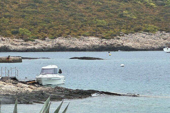 Split: Private Speedboat Charter & All inclusive - Authentic Insights from Reviewers