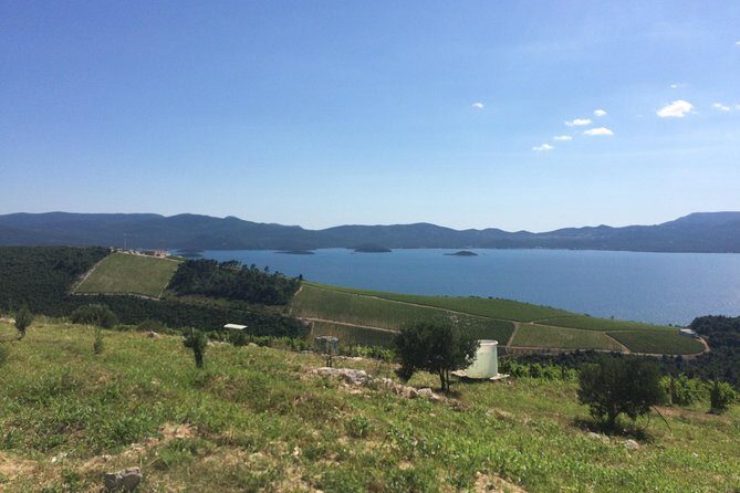 Split to Dubrovnik via Mostar plus Ston with local lunch - Authentic reviews and insights