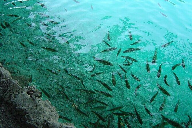 Split to Zagreb or airport Zagreb via Plitvice lakes for singles or couples - Drop-off and Final Details