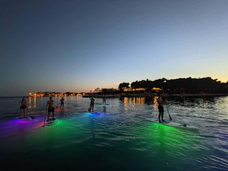 Split: Transparent SUP night Glow tour - The Sum Up: Is the Transparent SUP Night Glow Tour Worth It?