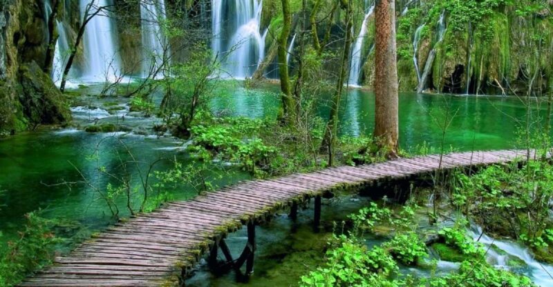 Split/Trogir to Zagreb: Private Transfer with Plitvice Lakes - Exploring Plitvice Lakes National Park