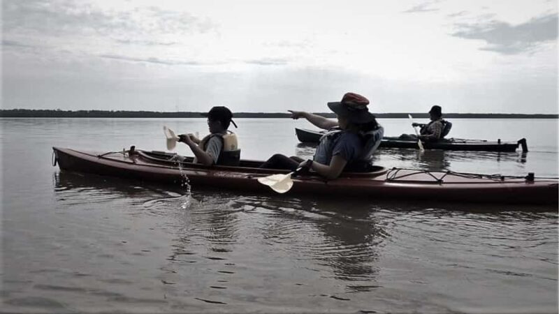 Spooky Swamp | Evening Paddle on Lake Charlotte(Sunset Tour) - Key Points
