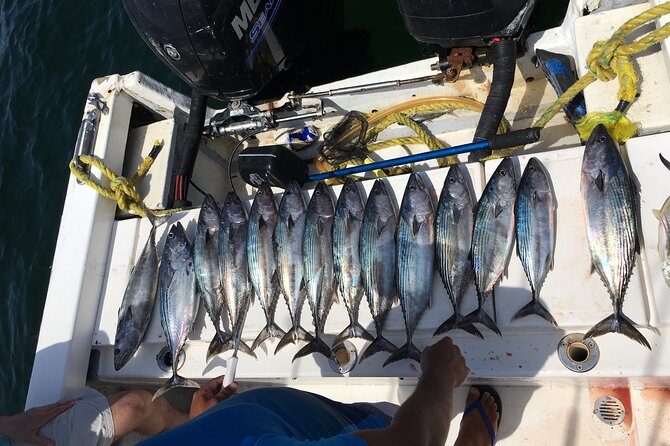 sport fishing - An In-Depth Look at the Puerto Vallarta Sport Fishing Experience