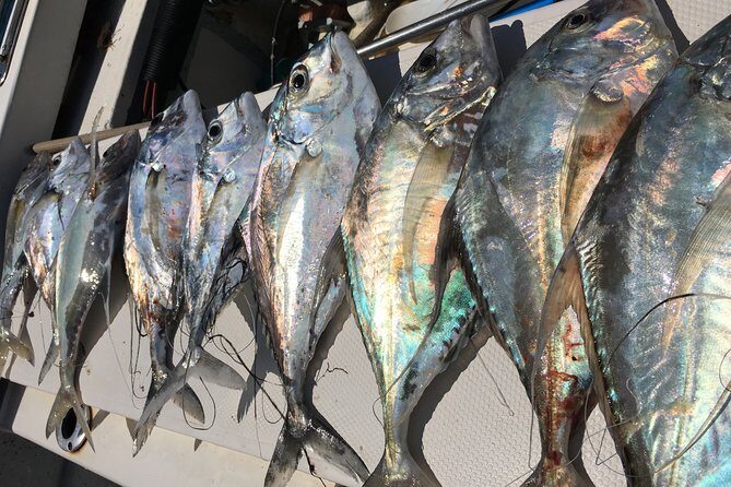 sport fishing - FAQ