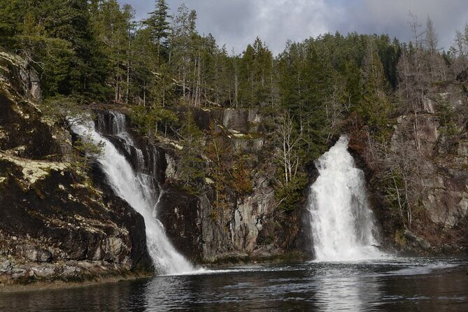 Spring Bear and Waterfall Tour - An Overview of What to Expect