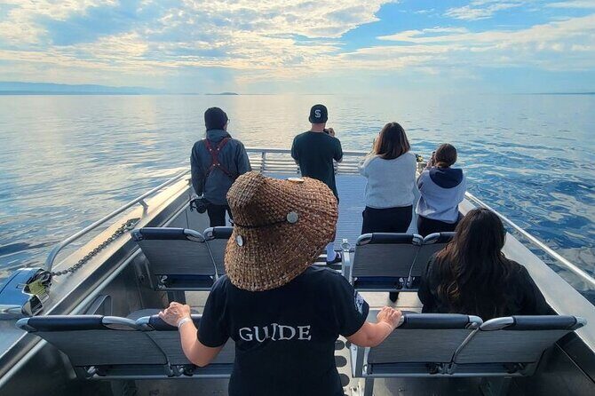 Spring Bears and Whales Tour in Campbell River - Final Thoughts