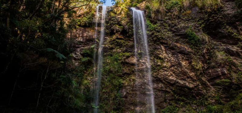 Spring Brook National Park Driving Tour with an APP - What Makes the Itinerary Special?